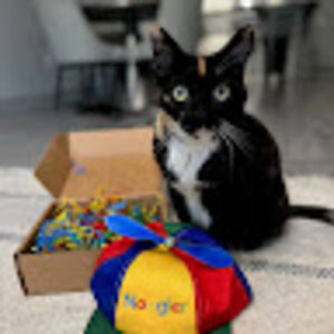 Meet your Posher, Adam